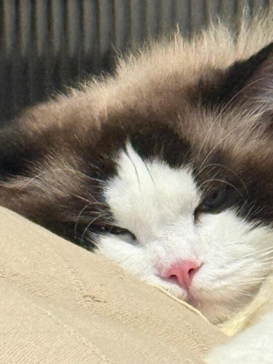 嘘🤫～ 我的宝宝还没醒💤
