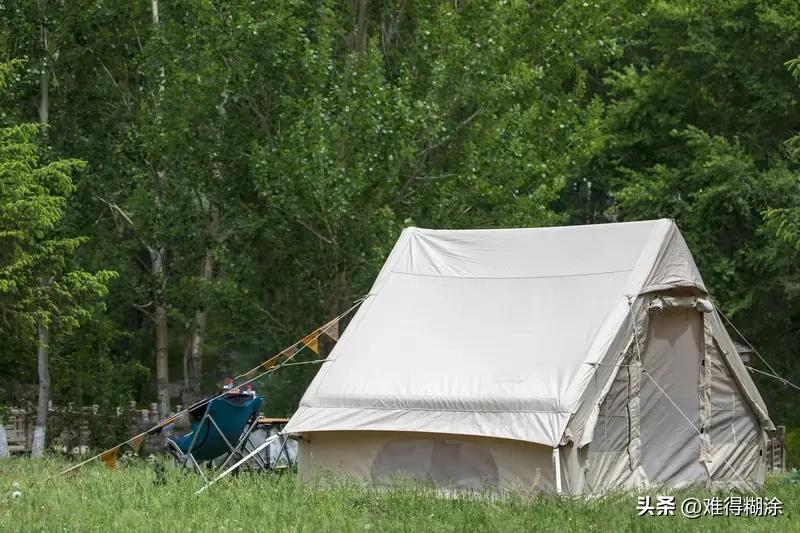 春日生活打卡季 春日已至，生活也该加点料！别因琐事愁眉苦脸，要知道失去一朵花，整