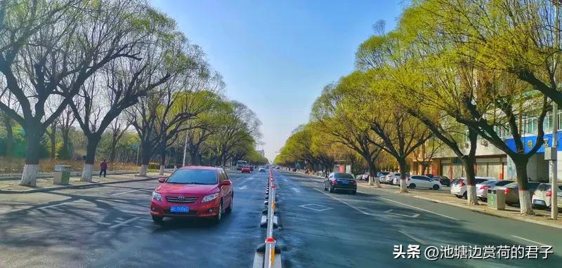 春日生活打卡季 春天真的太美好了，是新的开始，也是治愈的季节。咱就该告别不开心，