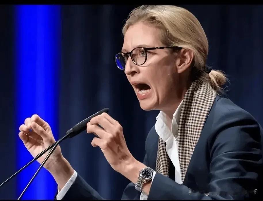 为什么说魏德尔的支持率会这么高?
为德国找到了正确的方向和发展道路。
让人民富裕