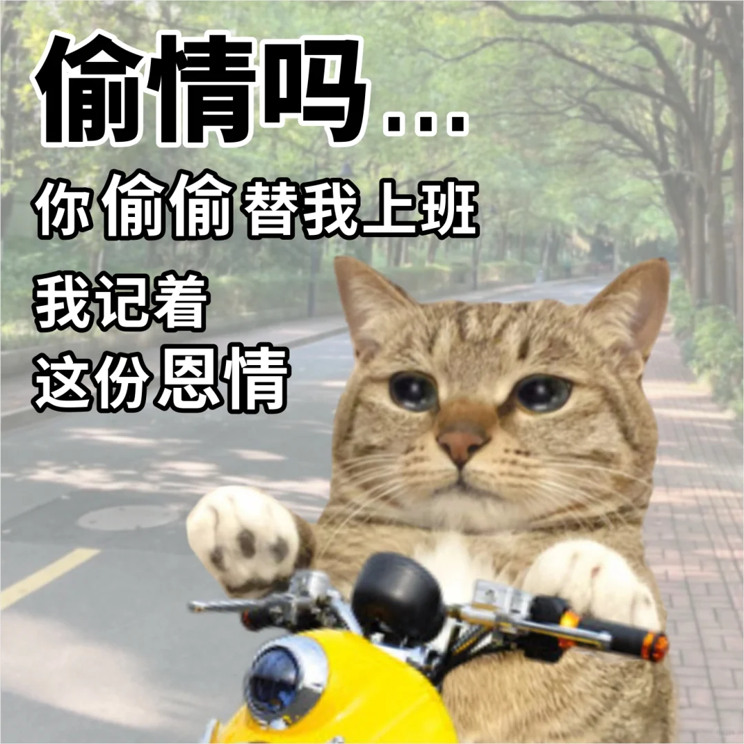 一些小众抽象不想上班表情包