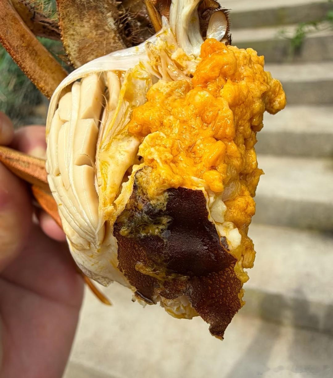 秋海里的顶级快乐🦀膏满肉肥的梭子蟹登场！金黄蟹膏绵密流油，蟹肉鲜甜紧实。大海的