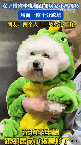 江苏小姐姐这波电梯奇遇也太会整活了！抱着爱犬乘梯，邻居抱着娃一进来，俩大人直接瞳