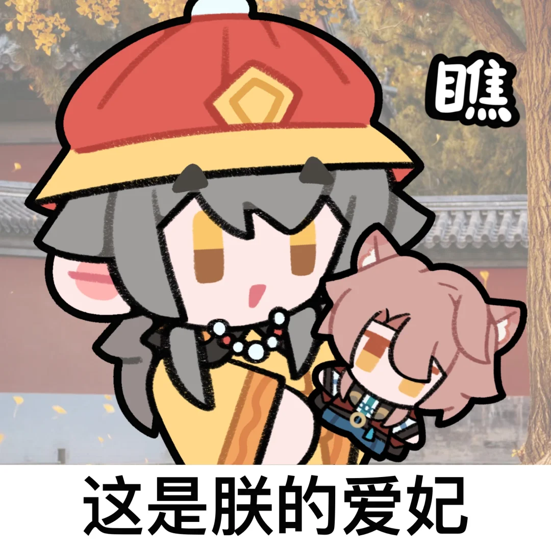 皇帝就是要宠爱妃的！