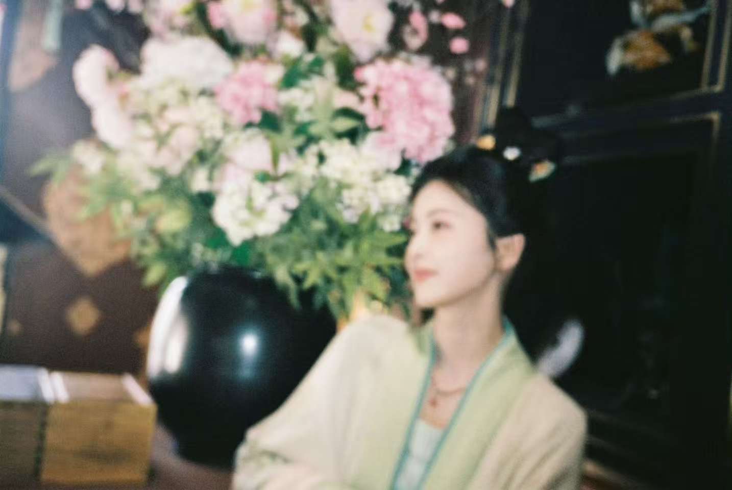 白鹿模糊美白鹿胶片机plog白鹿胶片机plog，模糊美，[打call][打cal