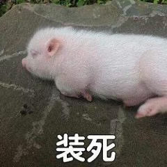 现在看盘的状态只有这图片可以完美的诠释了 