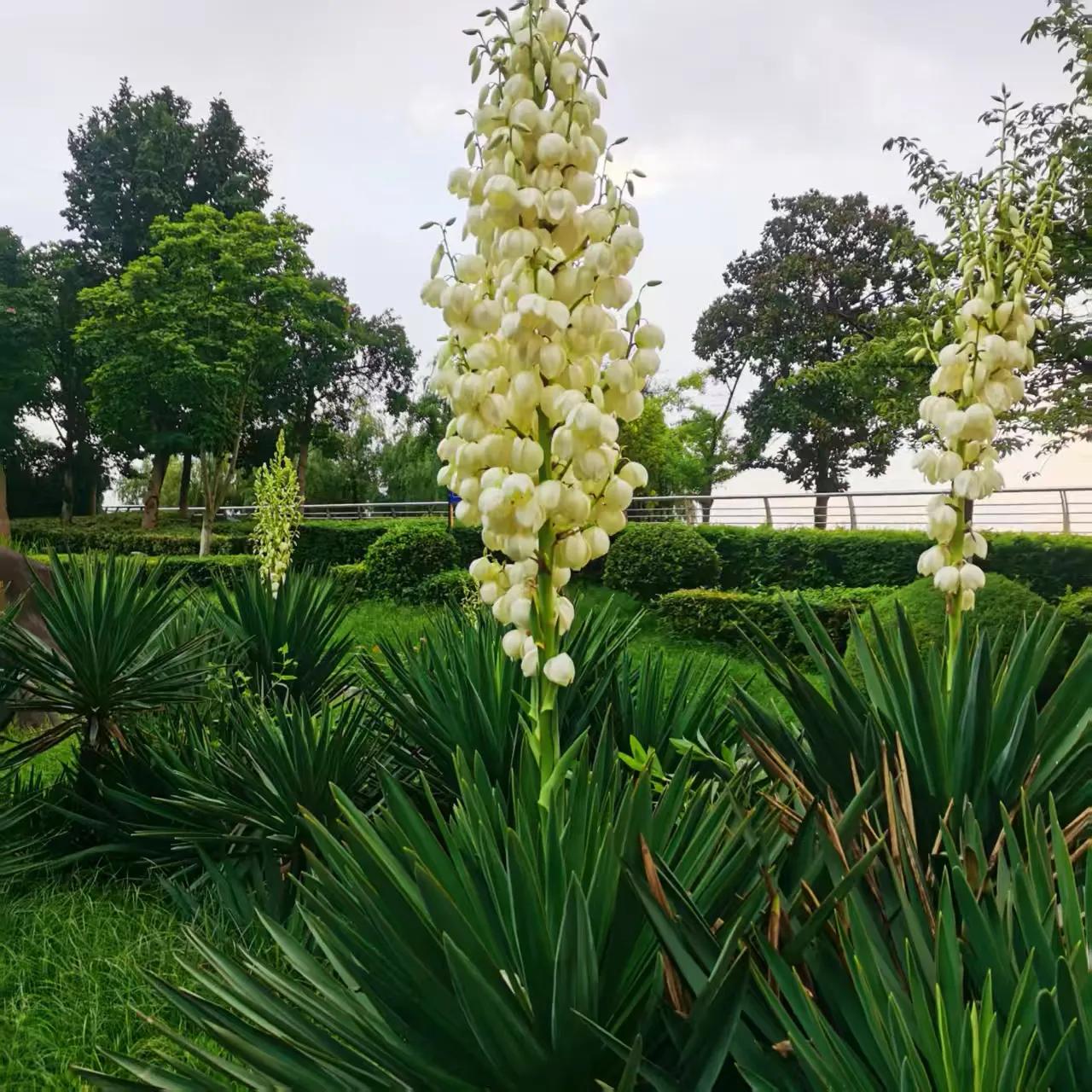 夏日生活打卡季