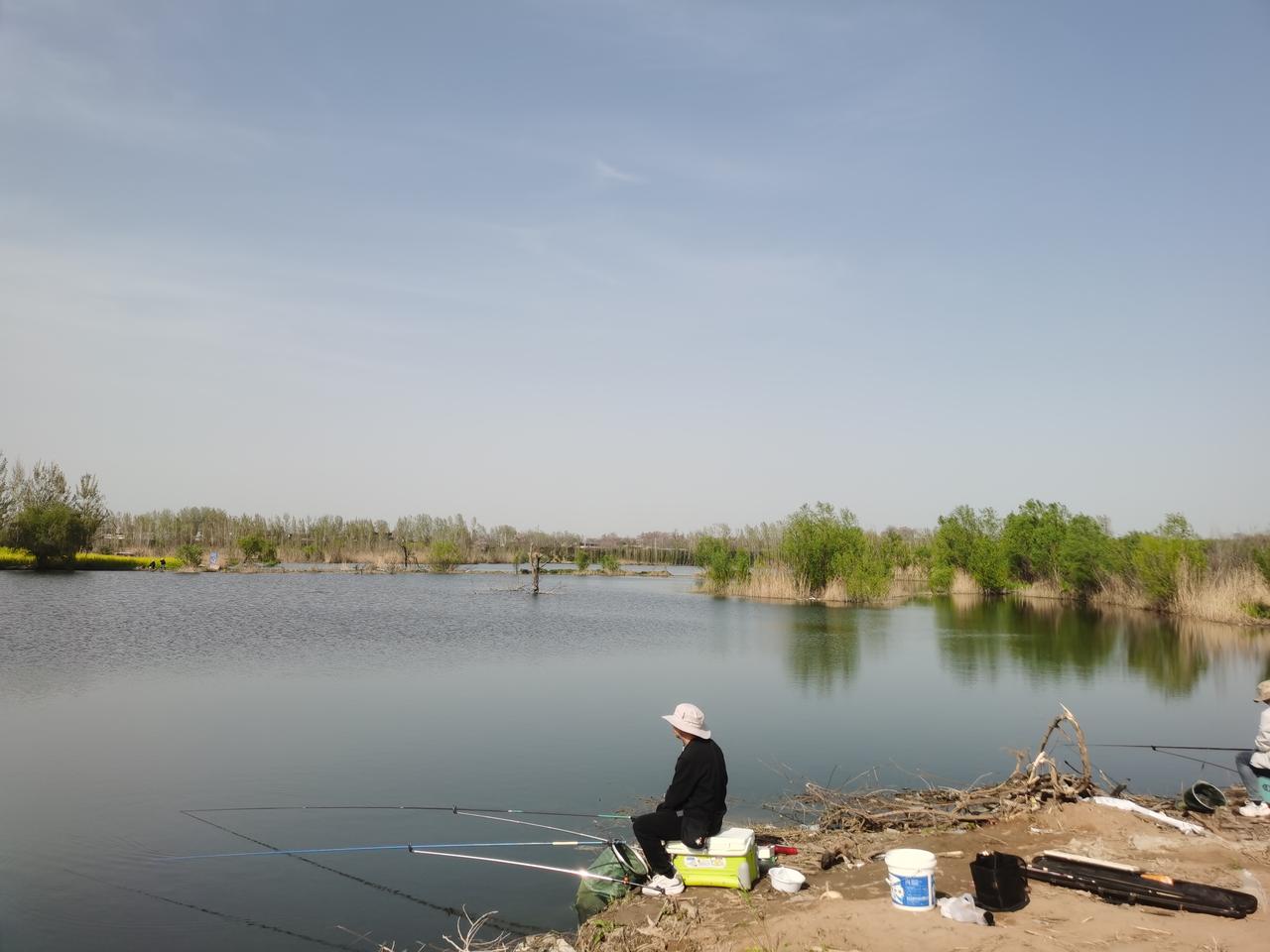春日生活打卡季春天在颍河旁钓鱼，远处的油菜花