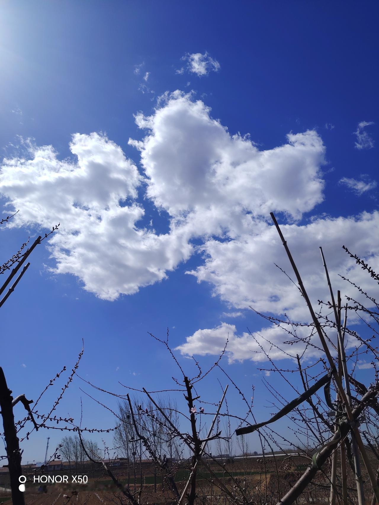 蓝色的天空中飘着洁白的云朵，真是晴空万里，好美的天啊！