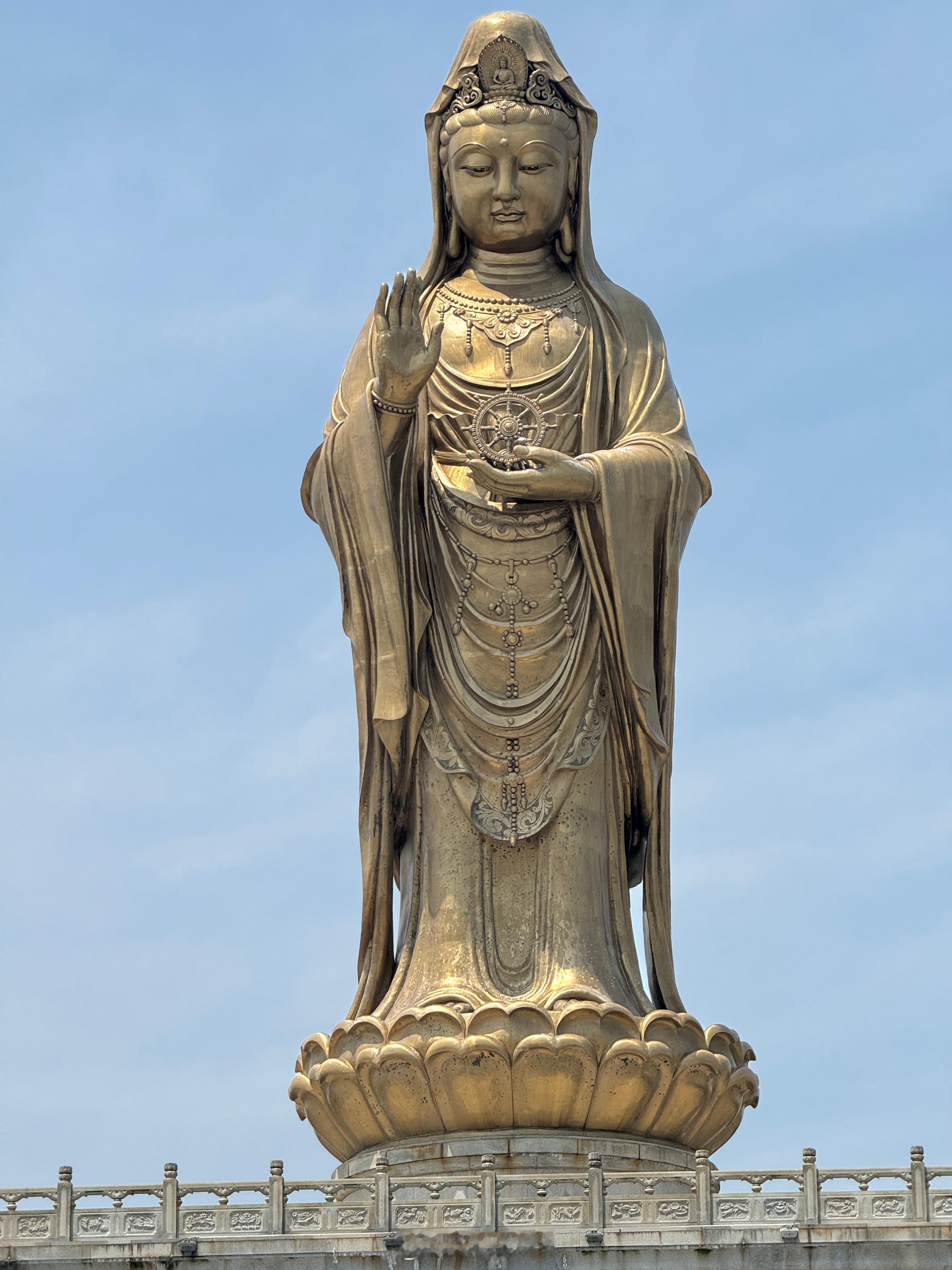 愿所求皆如愿[锦鲤附体]  ​​​