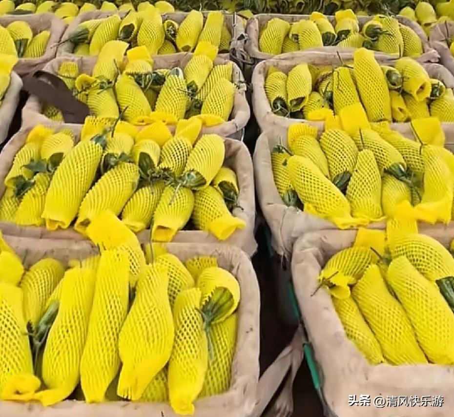 一个人在家做电商，又爆单了