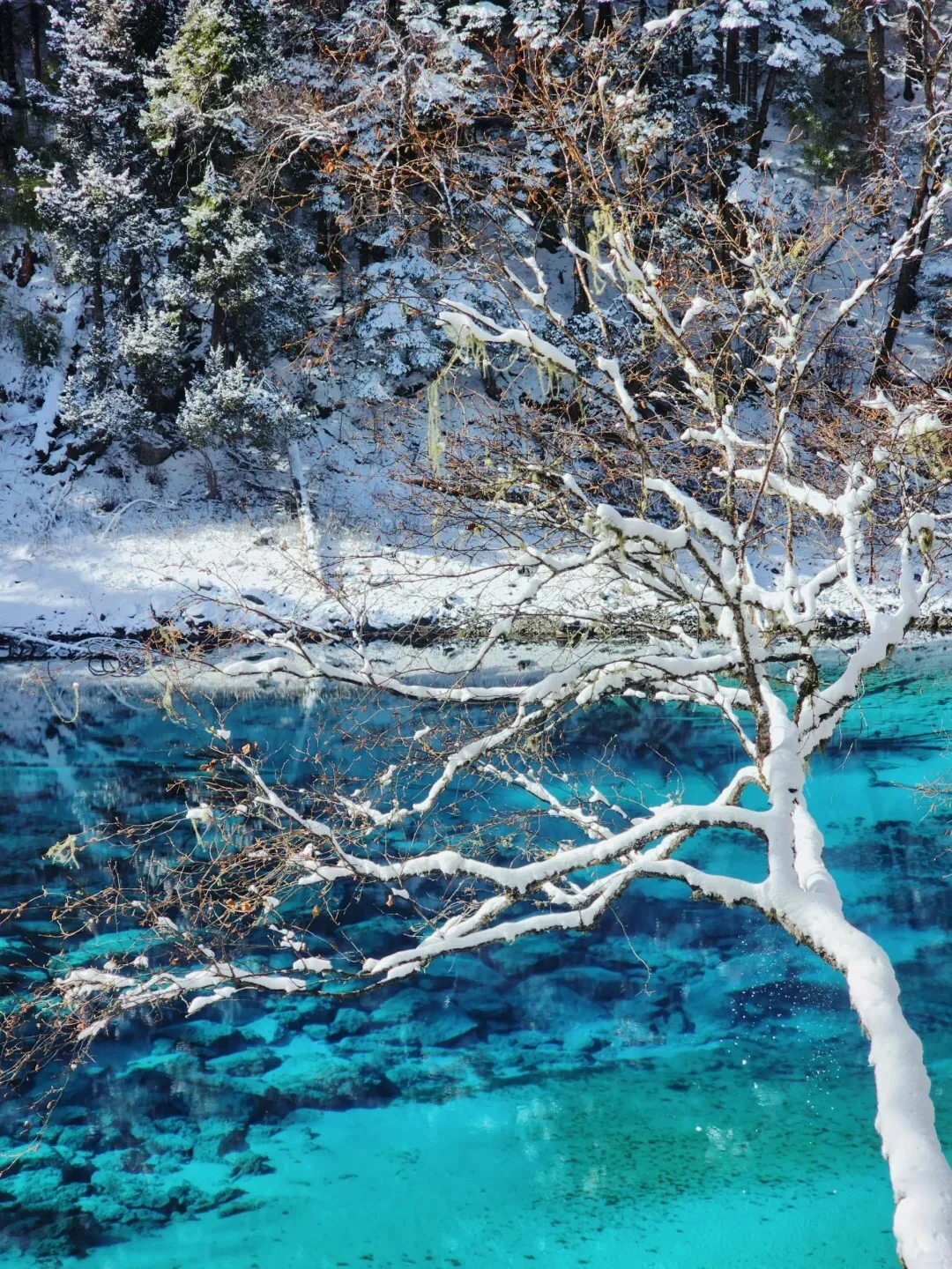 九寨沟的冬，冰蓝深潭与长海🌊