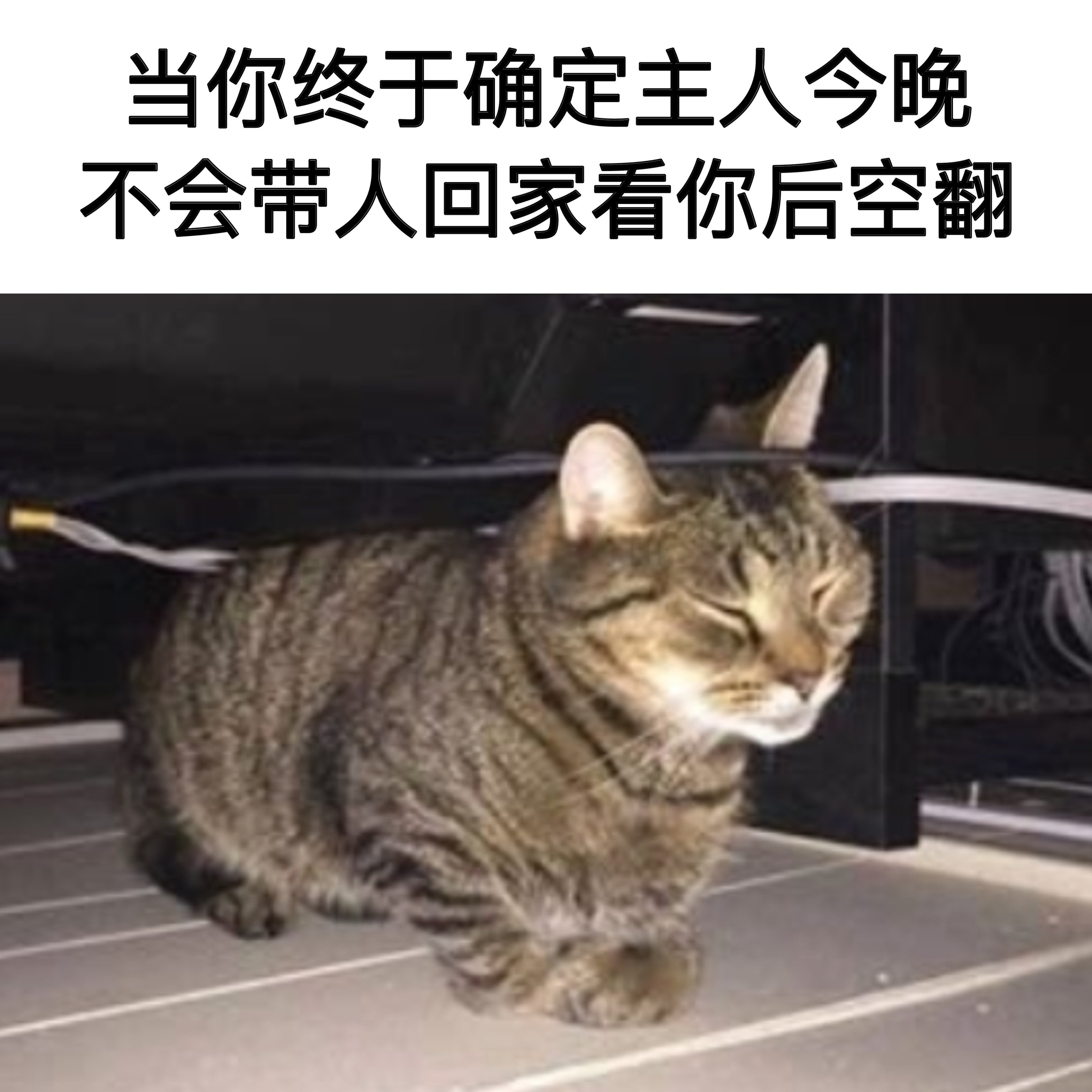 大家都轻松点#meme##七夕# ​​​
