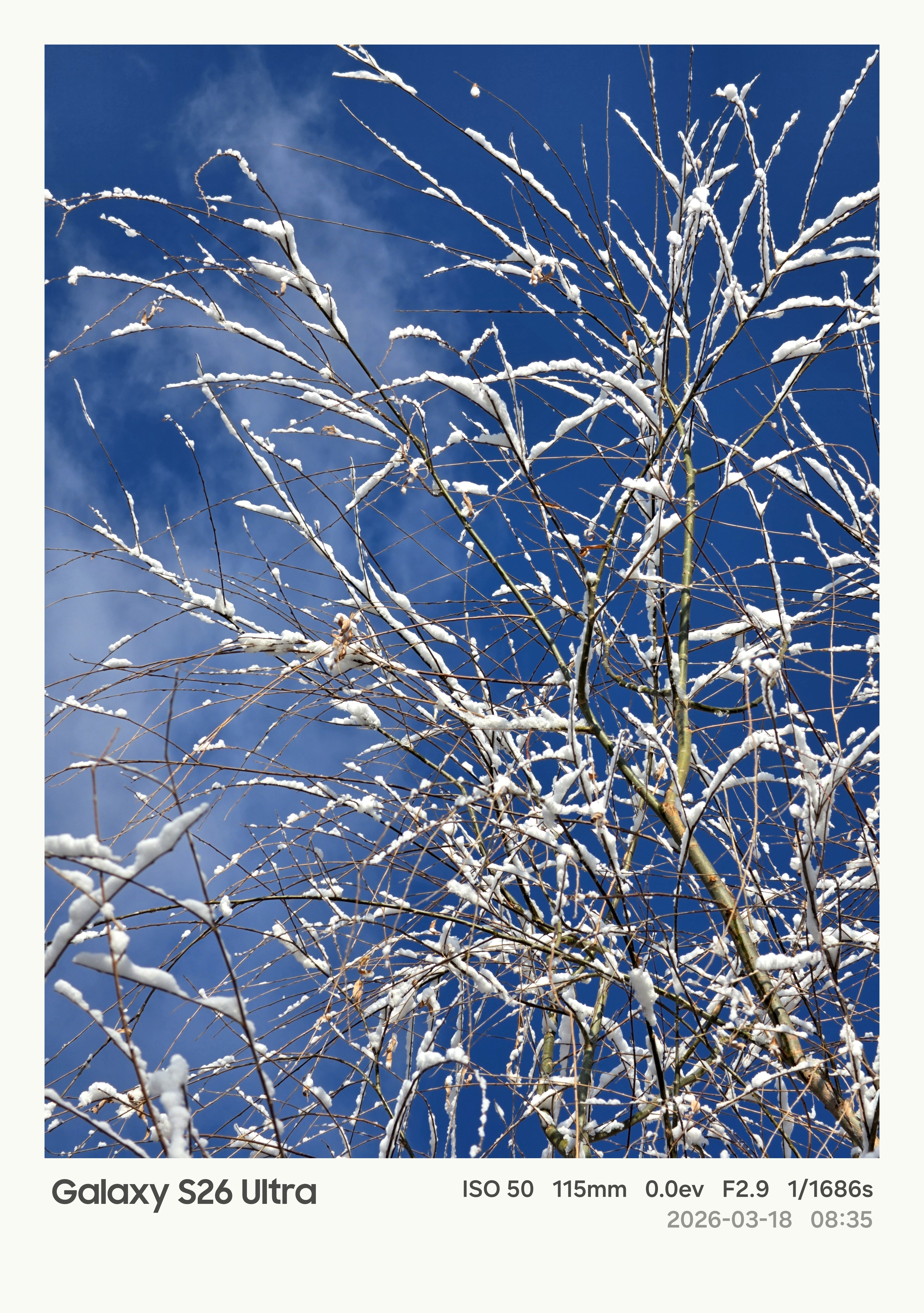 很有幸捕捉到了春季转瞬即逝的雪淞。现在已经全化了。三星Galaxy S26 Ul