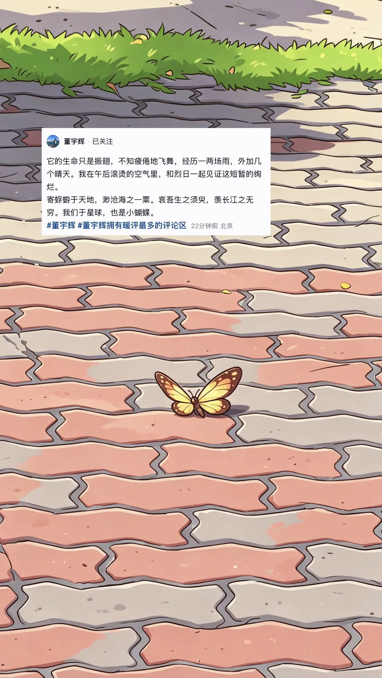 回复  寄蜉蝣于天地，渺沧海之一粟