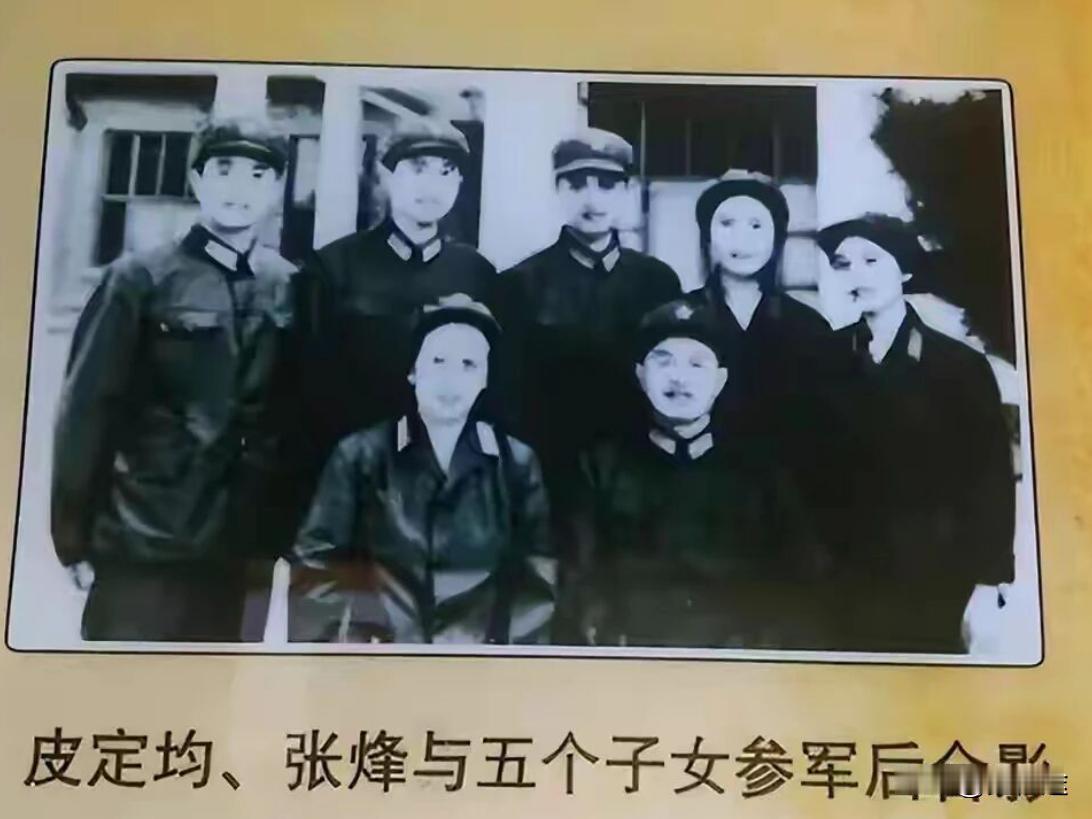 将军皮定均的子女情况梳理如下
皮定均将军与妻子张烽共育有七个子女，其中前两个孩子