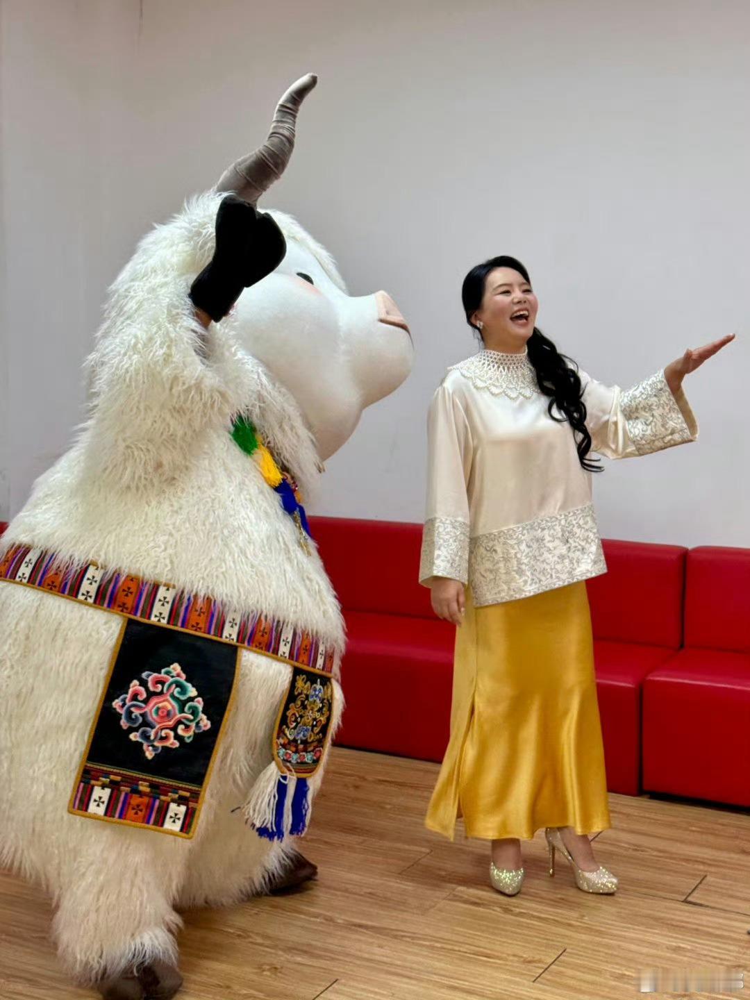 龚琳娜带了四头牛上台 起猛了，居然看到龚琳娜带了四头牛上台了。原来这四只从拉萨来