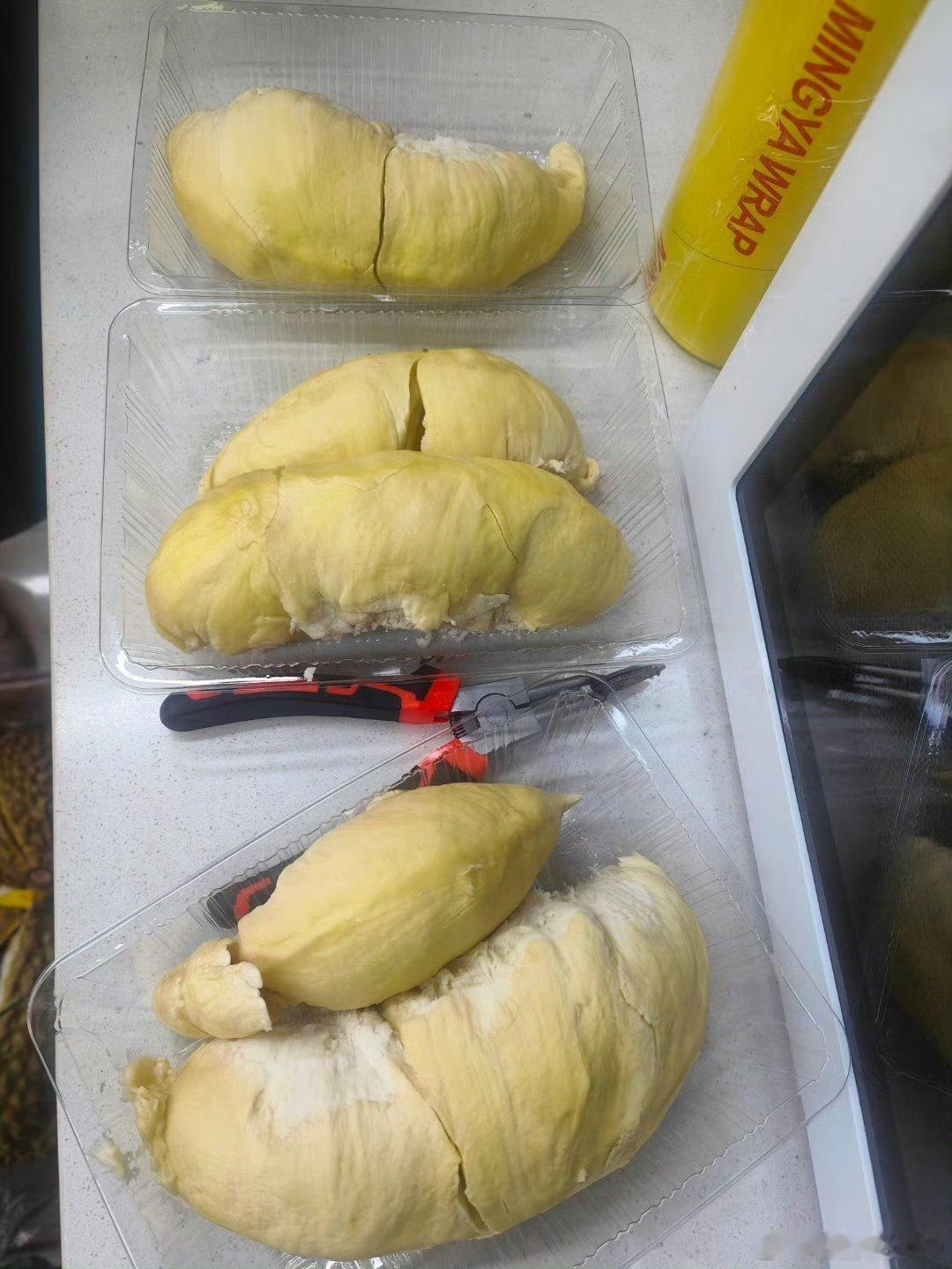 这个大黄胖子太哇塞了，简直是梦中情莲