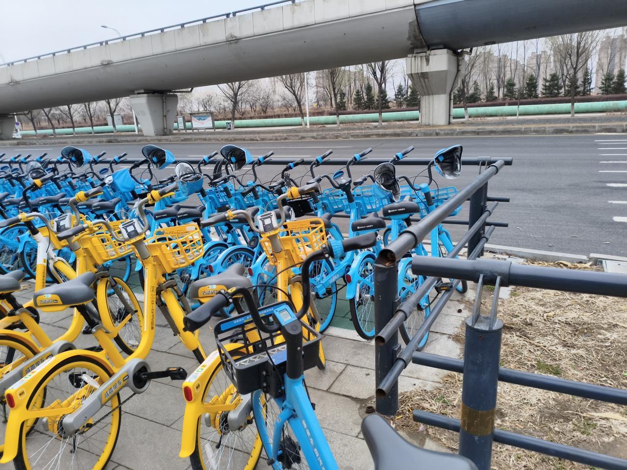 “单车和电动车”俨然成为沈阳南站乘客出行的主力军！
今天我要出差，从胜利大街万科