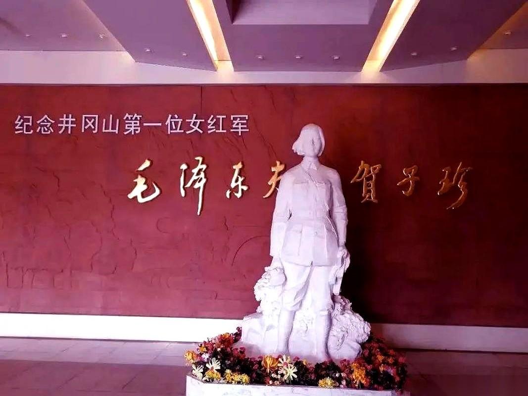 翻看关于贺子珍的各种回忆，很多人第一眼记住的，总是“永新一枝花”这个名号，或者那