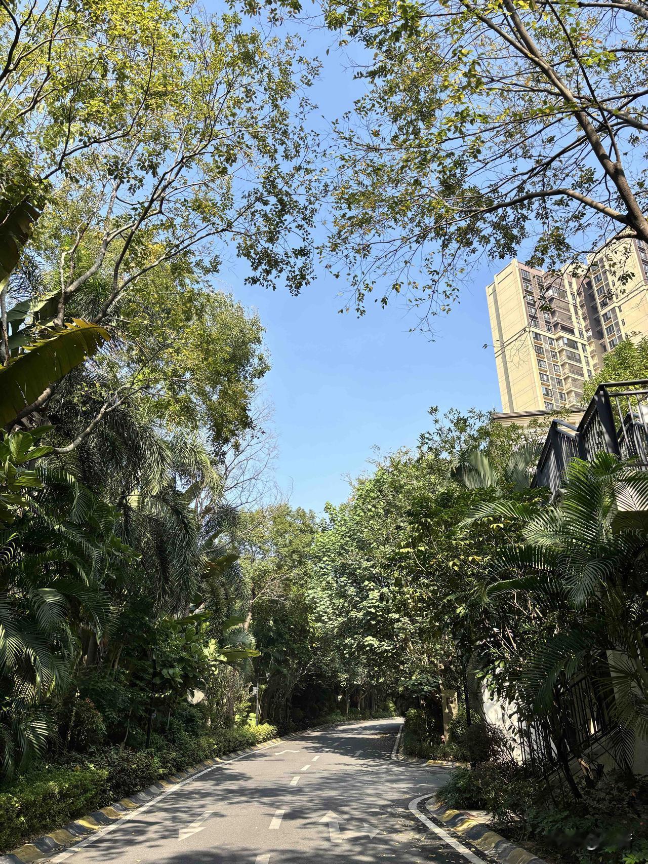 今天做教育的师弟说，从现在开始，要全面压缩教育成本，把钱留到两个地方，第一个以后