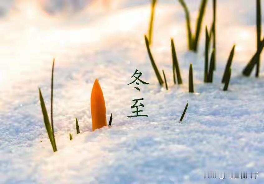 冬至将至，作为二十四节气中极富深意的一个节点，

它不仅标志着阴阳转换的开始，民