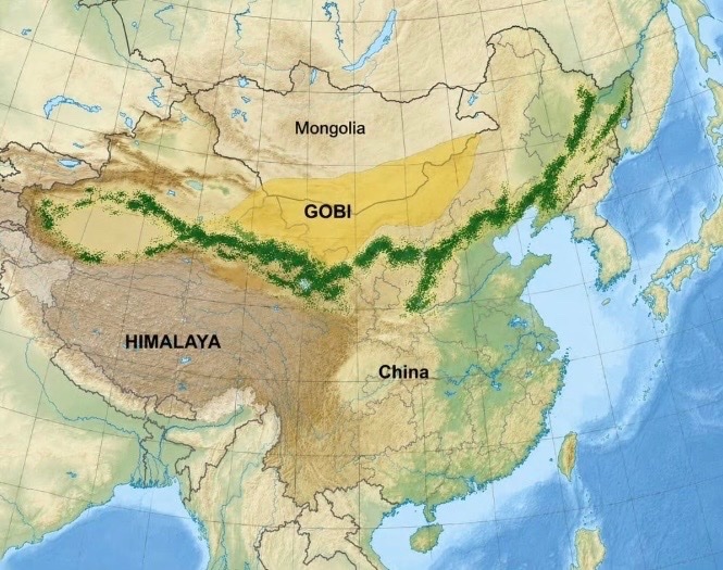 1978年以来，中国已种植超过660亿棵树，以减缓两大主要沙漠的扩张，使其成为历