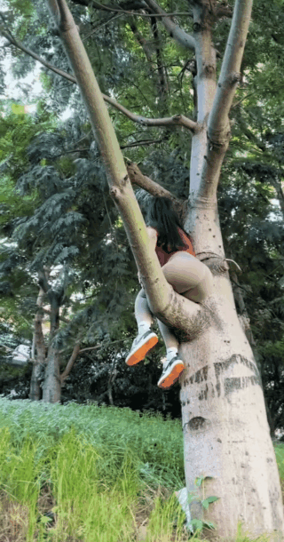 上树容易下树难，看你拍完照怎么下来[奸笑][奸笑][奸笑]