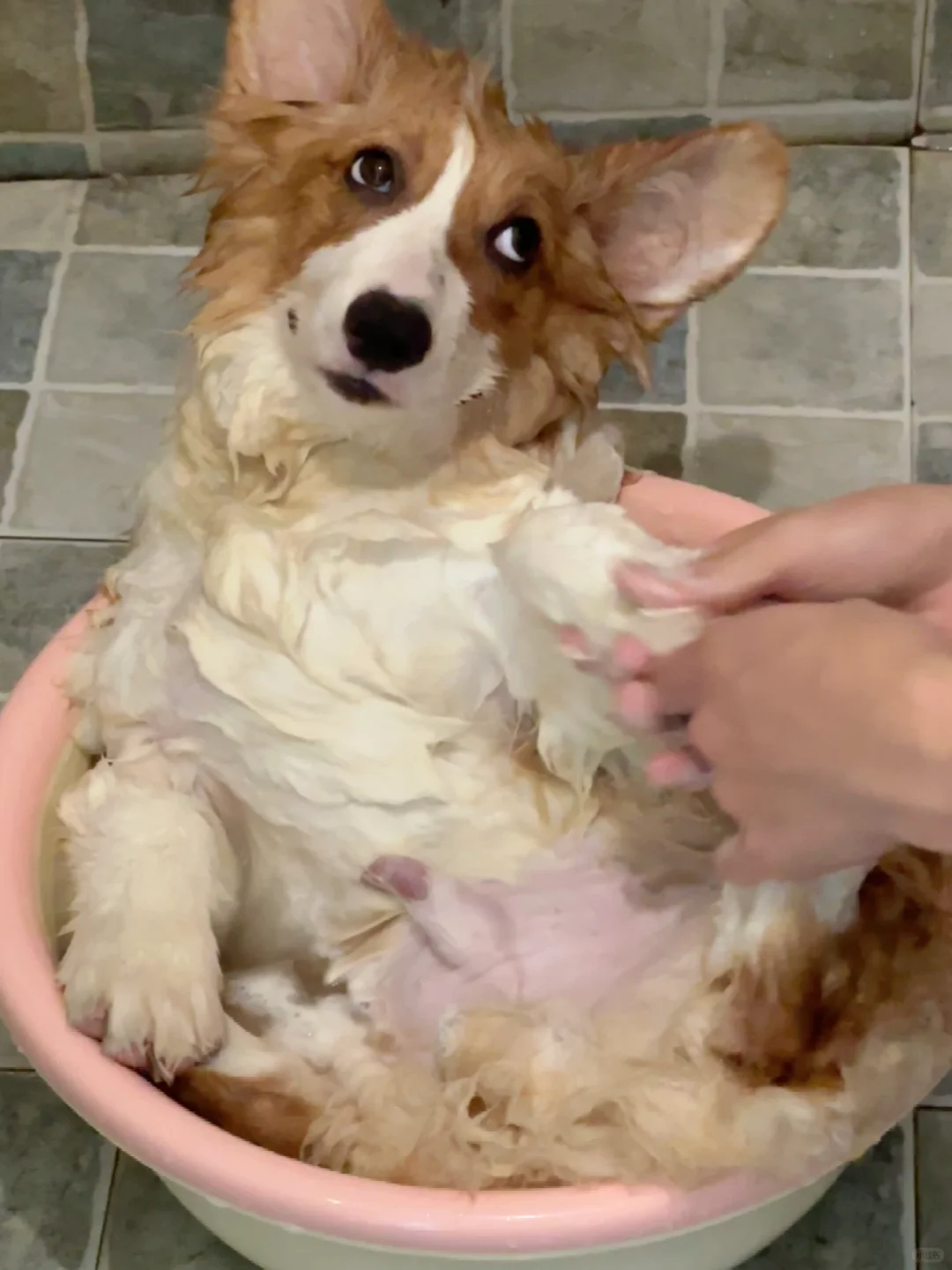 不想洗澡