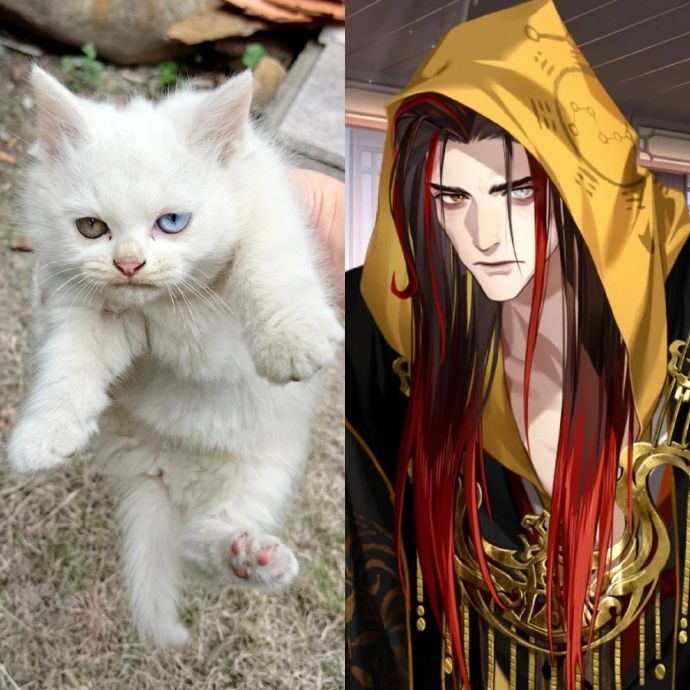 起猛了，看到张角了。[吃惊]#爱游引力##代号鸢##女性向游戏# ​​​