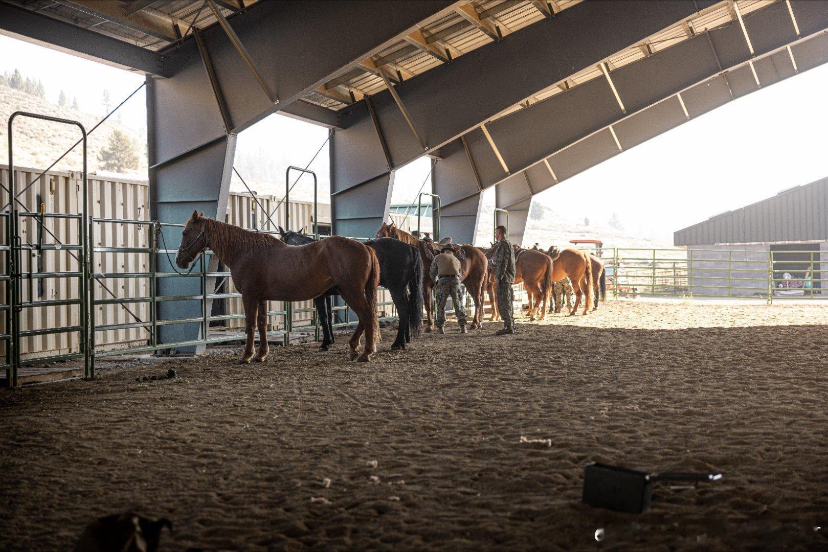 2025年9月8日，陆战队员在山地战争训练中心进行Horsemanship an