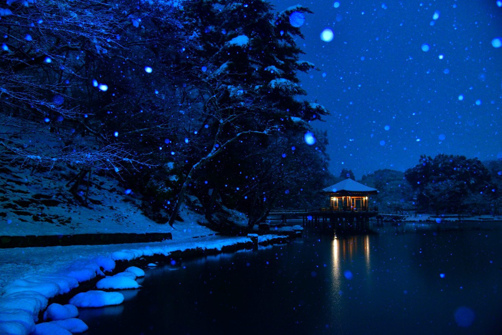 扫室敢言天下志，闭门尽可雪中眠。图为雪中奈良 