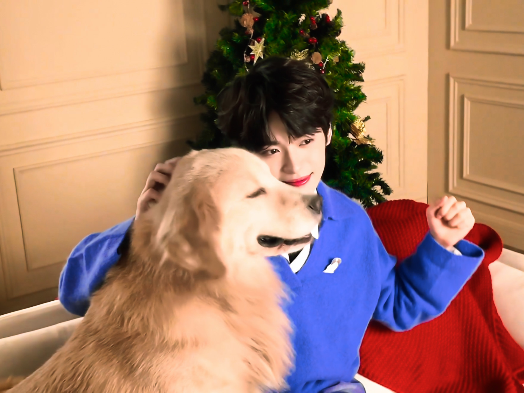 网易严选代言人梓渝 zy梓渝游点意思2026巡回演唱会 