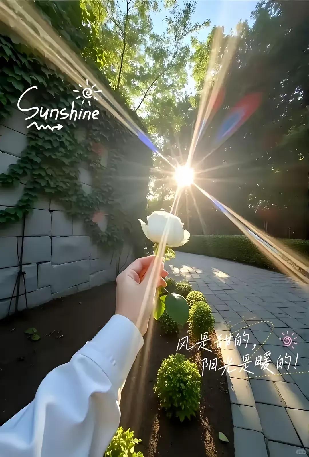 写给自己:
​​​​​​​日出而作，日落而息，日子在忙碌中充实。快乐时，珍惜眼前