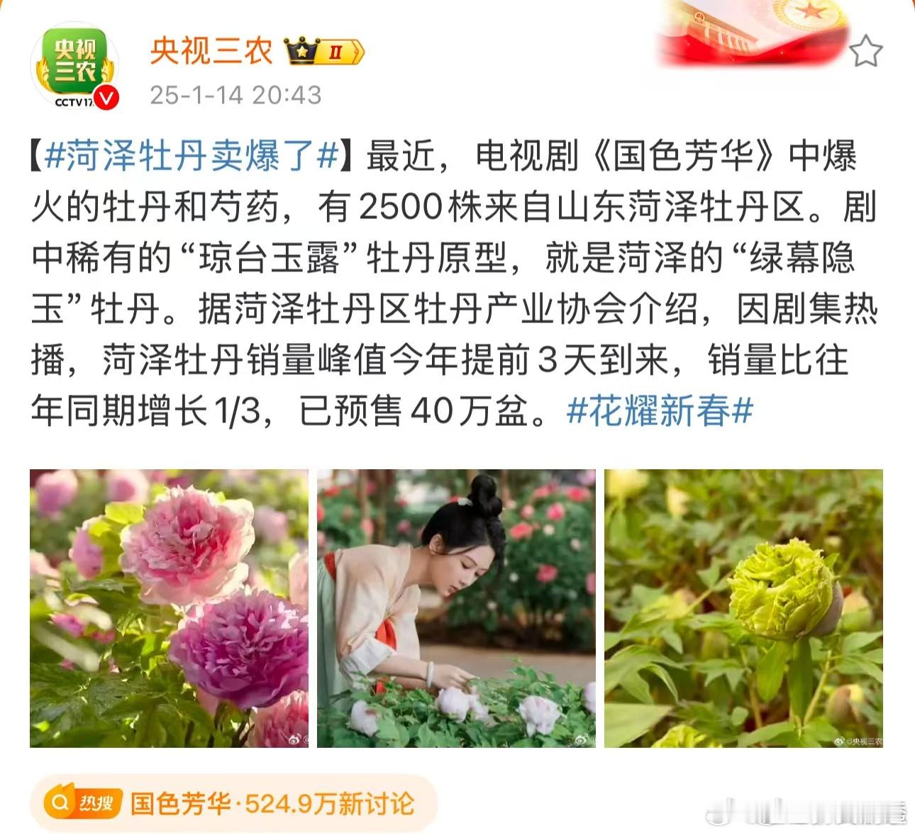 何惟芳带火菏泽牡丹  国色芳华  何惟芳的影响力使得菏泽牡丹成了社交平台的热话题