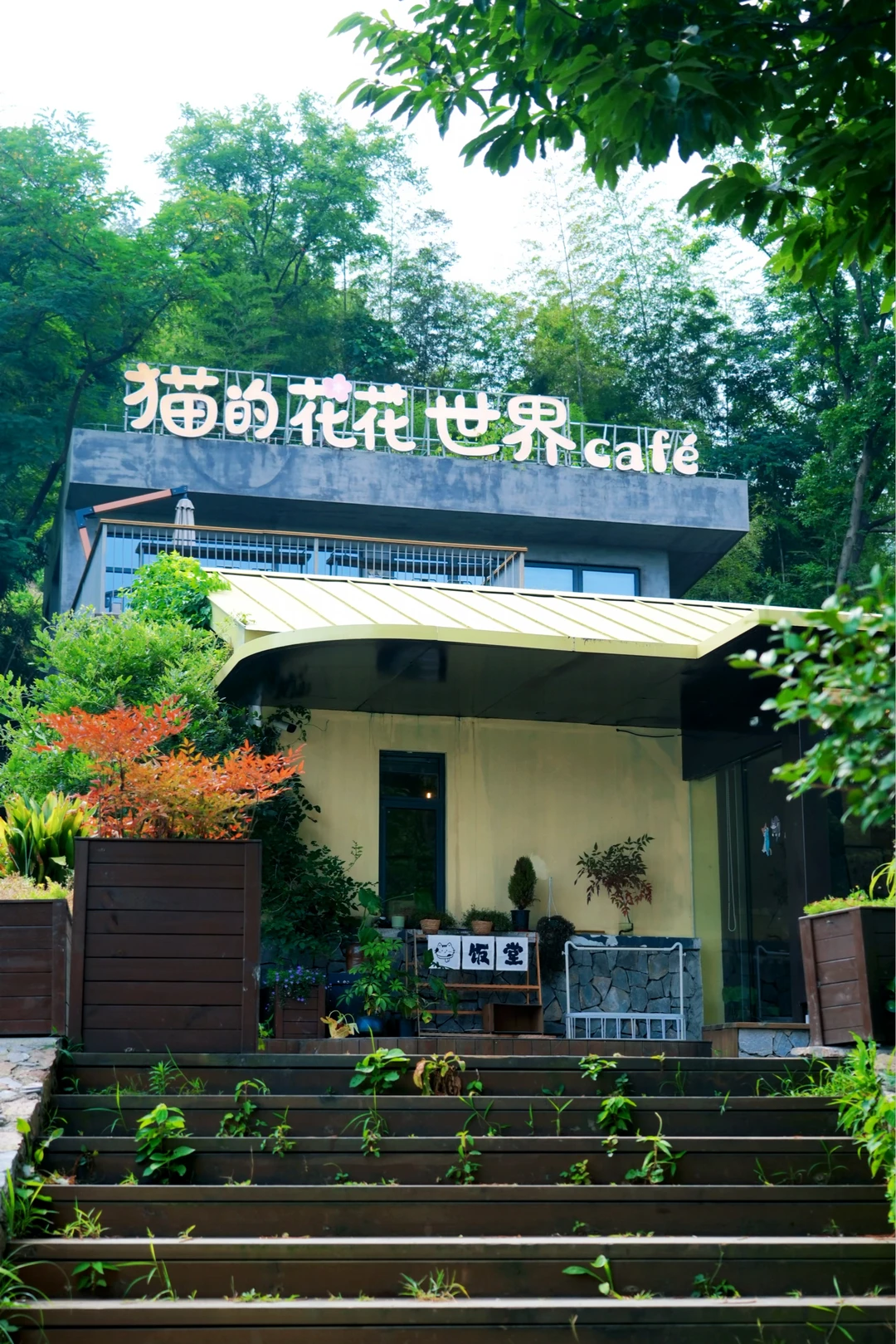 合肥1h直达！皖中夏日宝藏小城庐江，自驾度假