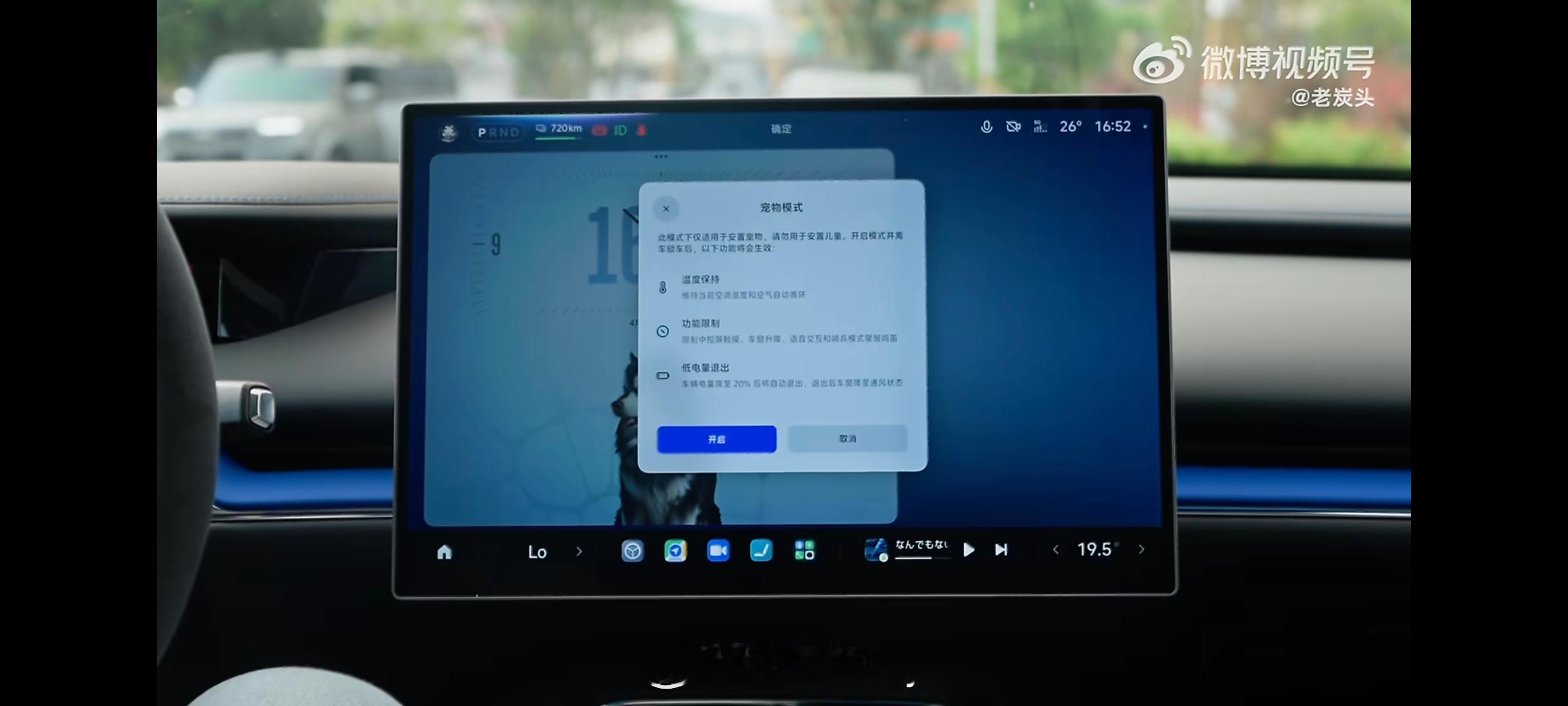 人怕衰老宠物也是，尤其是作为主人，最怕时间流逝，宠物离我们而去，我最想停止的倒计