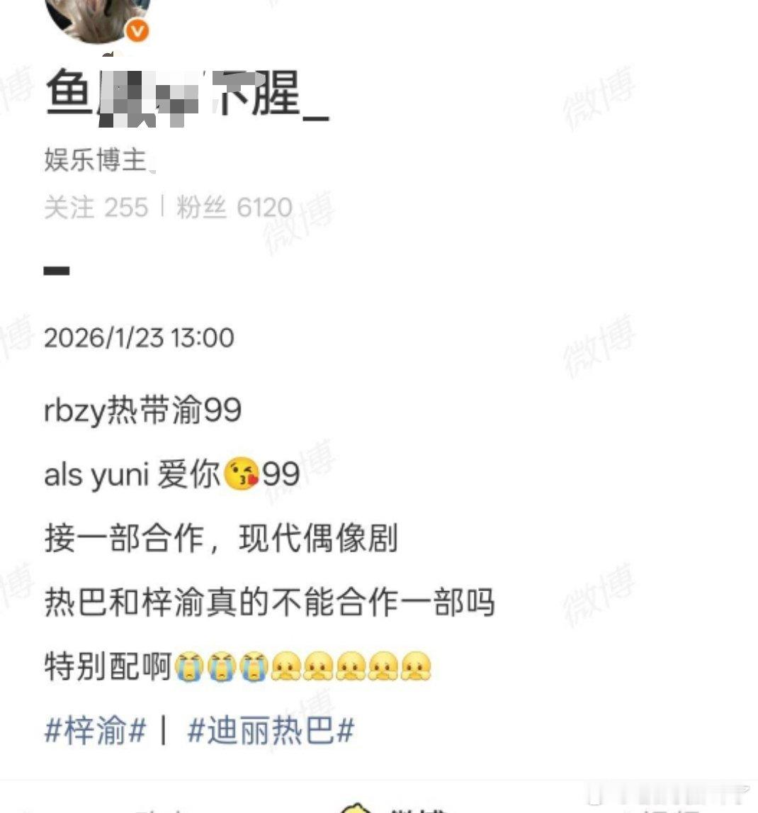 网友问：迪丽热巴和梓渝可以合作一部吗？