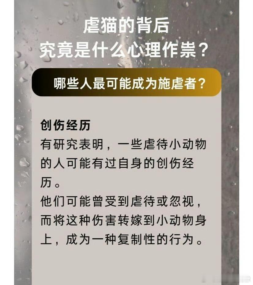 小孩多次甩飞捶打小猫致死这么小就开始虐猫长大了怎么办啊 家长还是要多干预吧 毕竟