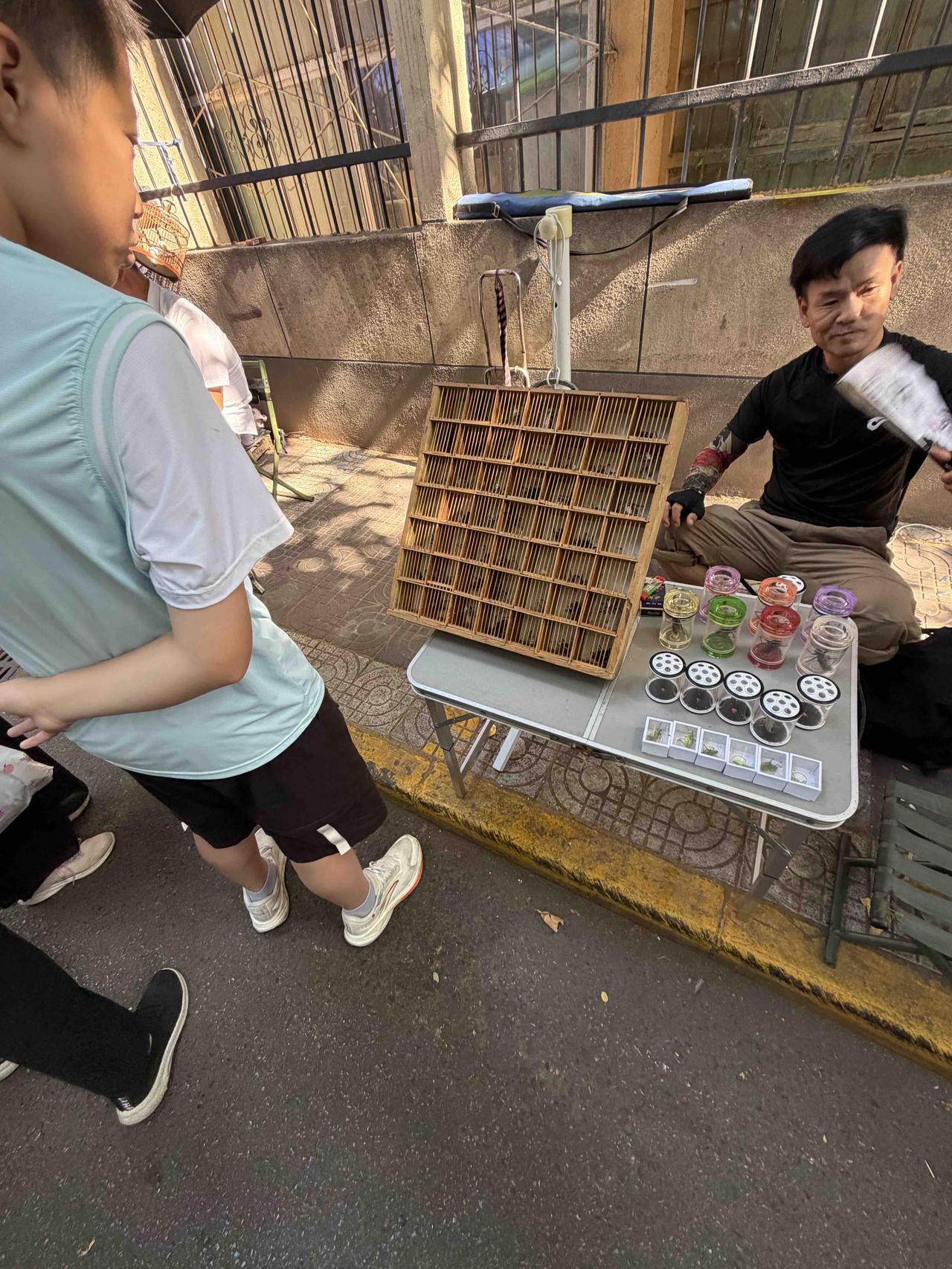 今天上午，我逛西安档子，走到西仓西巷时，看到一位男子，选购了一只叫声响的蝈蝈；另