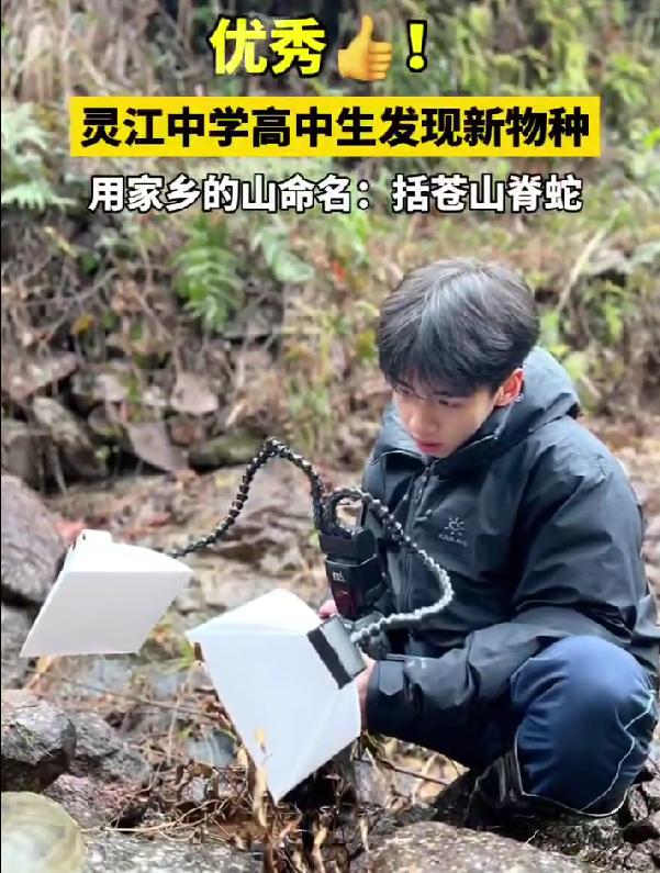 17岁高三男生发现新物种“筷子蛇”，凭实力登上SCI，太给年轻人长脸
最近全网都