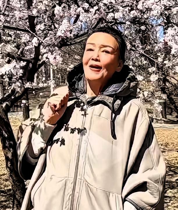 兰姐不拍小七宝, 流量下的清醒策略
张兰家里，新添了丁。那是小七宝，汪小菲的娃。