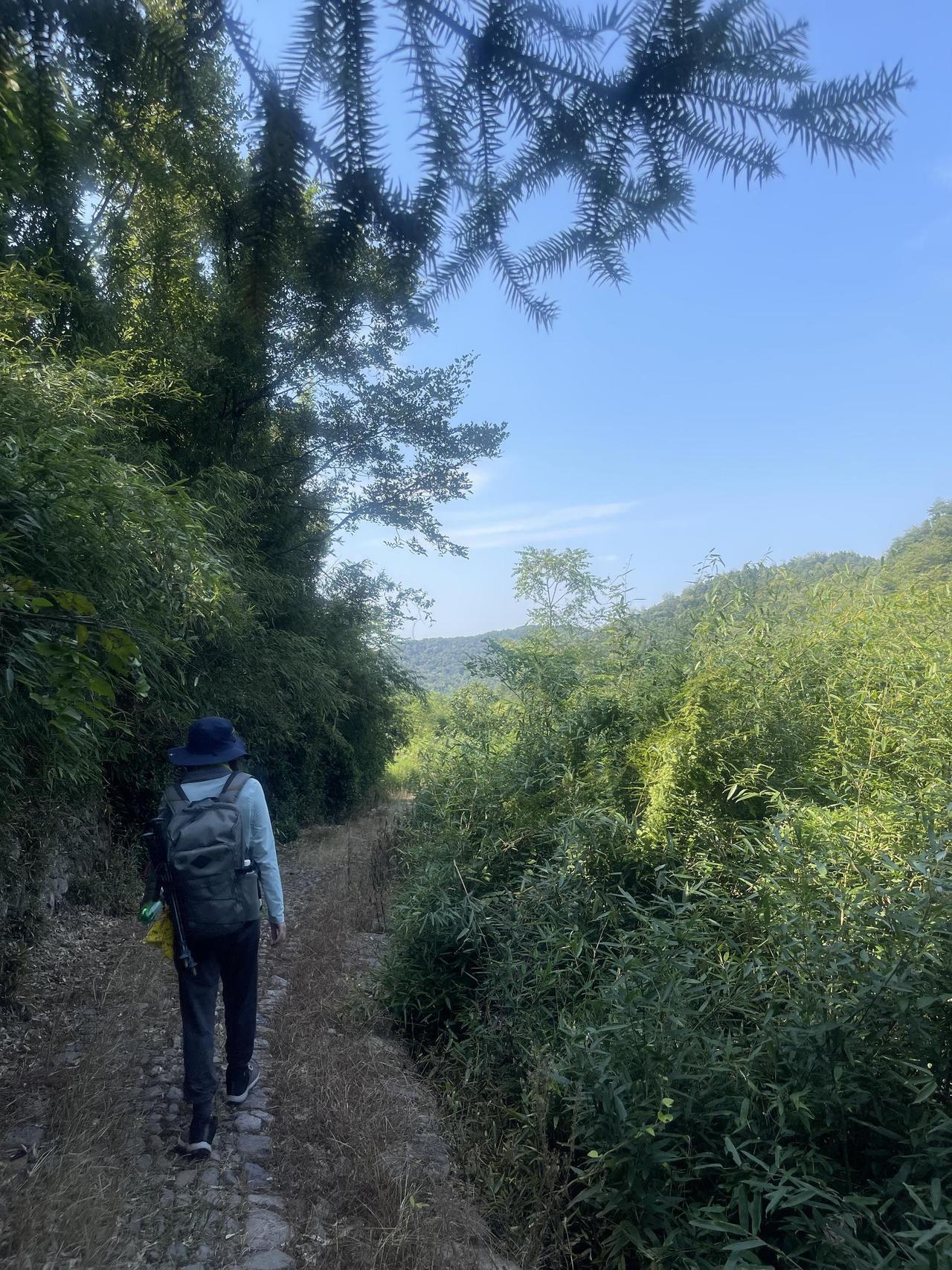 上联：漫步青云风带路；
------仄仄平平平仄仄
下联：？？（小林邀友赐对）