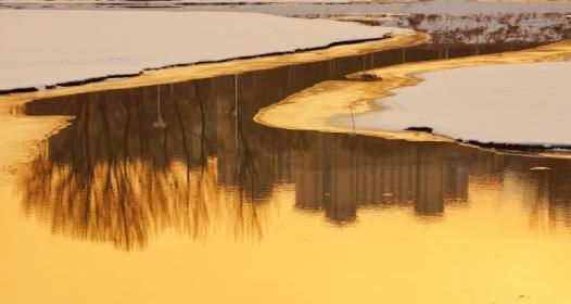 辽宁省鞍山市：雪后斜阳铺暖金 ​​​