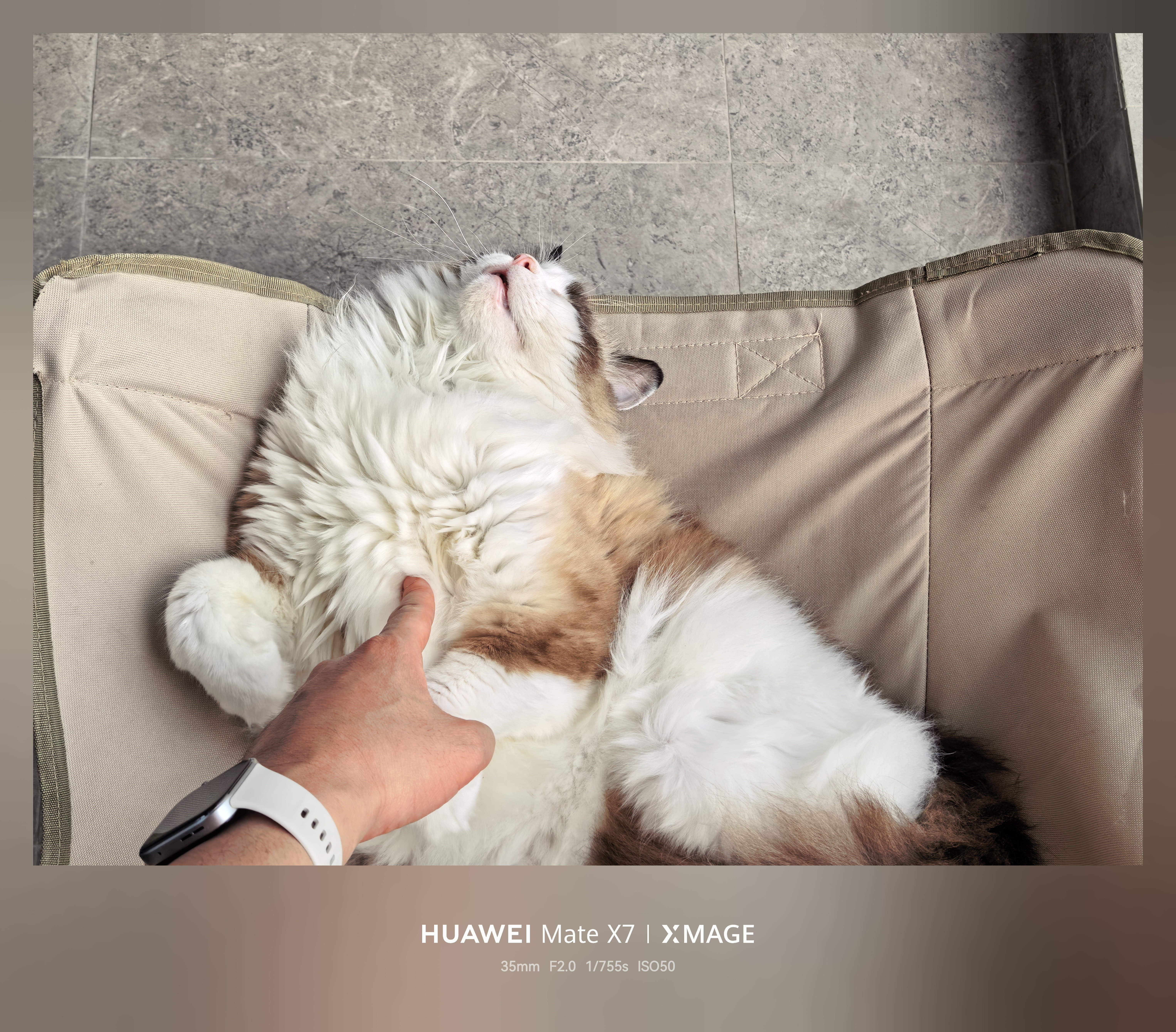 睡的迷迷糊糊。