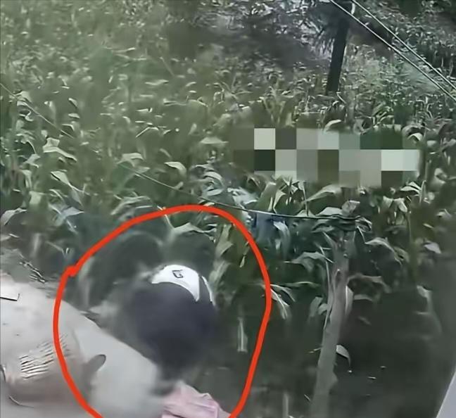 云南失踪男孩绝对是人才，能离家出走独自生存6天。反侦察意识强，知道灯下黑， 躲藏
