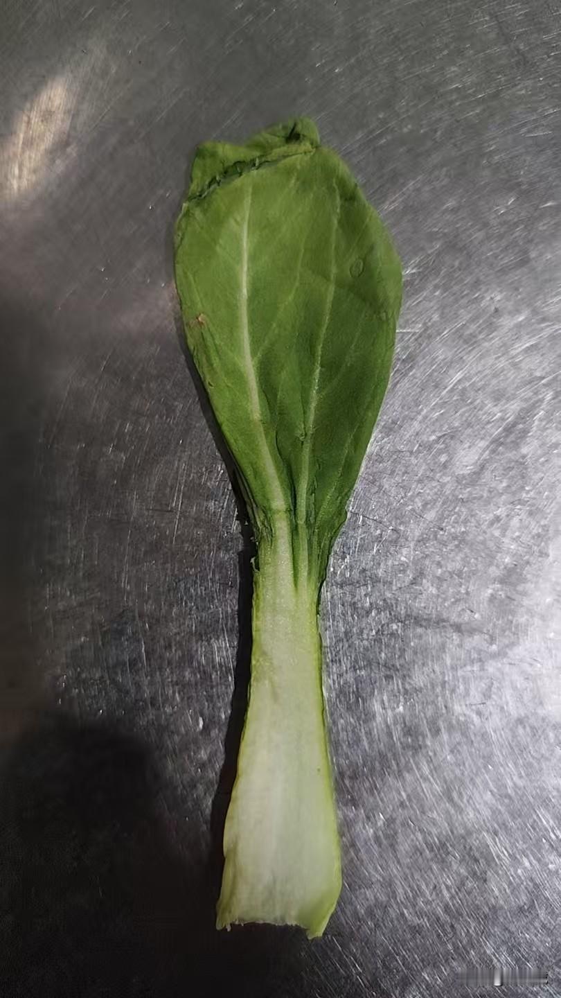 写青菜肯定是爆款
青菜就是冬日里的一把火
谁写谁火
当你在为自己的作品没有流量而