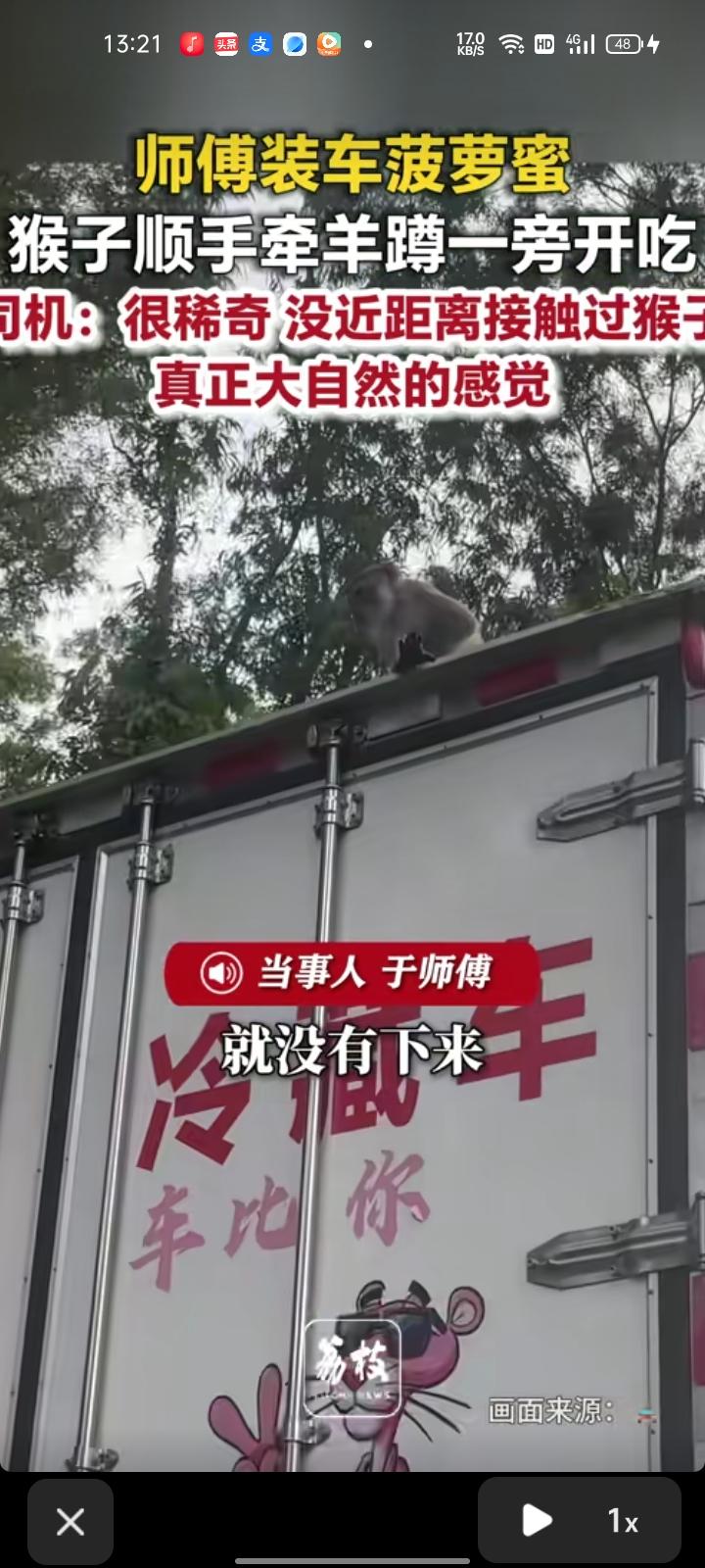 5月22日，海南省陵水县。网友发视频称，自己装菠萝蜜时，猴子刚开始在树上没有下来
