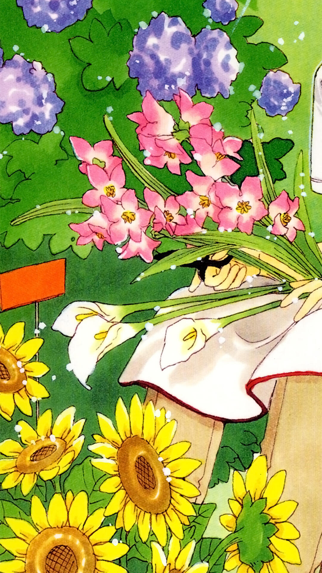 wechat｜二次元｜clamp｜魔卡少女樱｜百变小樱｜审美积累｜背景图｜高清｜