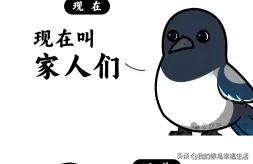 以前叫干爹，现在叫？？？
以前叫老婆，现在叫？？
以前叫野鸡，现在叫？？？
以前
